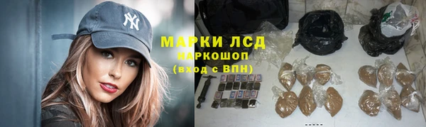 ПСИЛОЦИБИНОВЫЕ ГРИБЫ Белокуриха