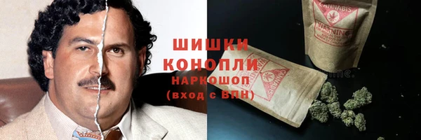 ПСИЛОЦИБИНОВЫЕ ГРИБЫ Белокуриха