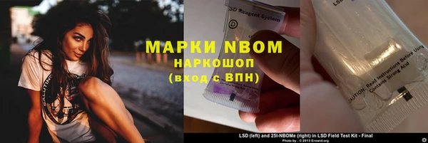 ПСИЛОЦИБИНОВЫЕ ГРИБЫ Белокуриха